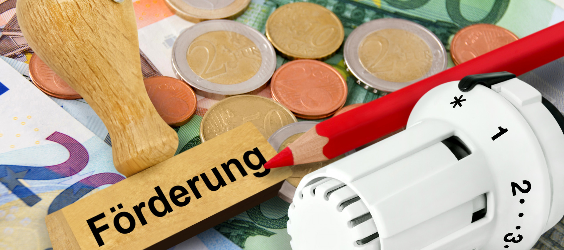 Staatliche Förderung für Wärmepumpen: bis zu 30 % sparen beim Heizungstausch